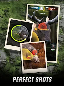 Trophy Hunter - Shooting Game screenshot 13