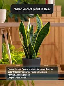 AI Chatbot Assistant - Axon AI screenshot 18