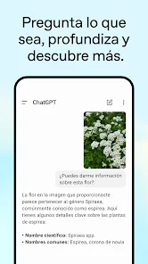 ChatGPT screenshot 4