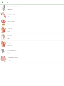 Learn Muscles Anatomy screenshot 16