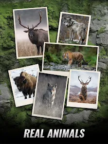 Trophy Hunter - Shooting Game screenshot 9