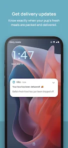 Ollie - Human-Grade Dog Food screenshot 2