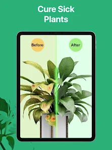 PictureThis - Plant Identifier screenshot 15