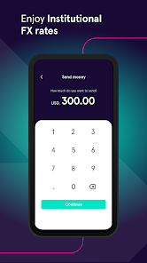 Zenus Bank: U.S. bank accounts screenshot 5