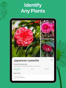 PictureThis - Plant Identifier screenshot 18