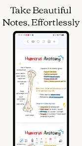 Freenotes - Notes Taking & PDF screenshot 1