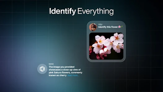 日本語のAIチャットボット - Nova screenshot 38